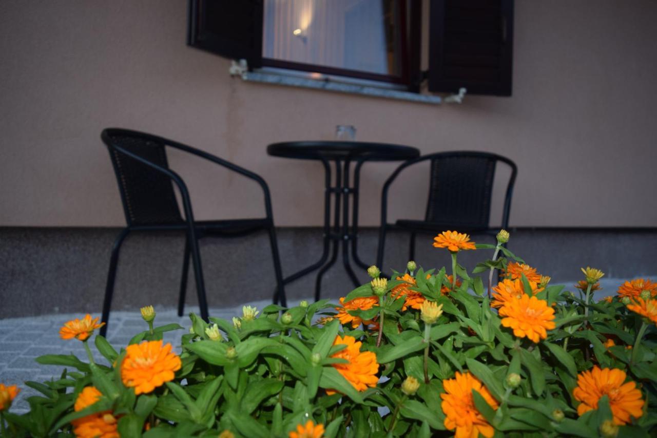 Apartman Nino Novigrad  Extérieur photo